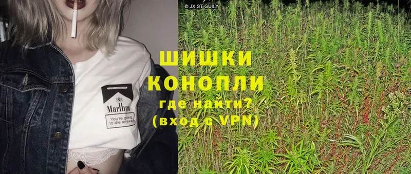 Каннабис SATIVA & INDICA  OMG как зайти  Туринск  где можно купить  